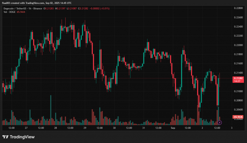 Погодинний графік DOGE/USDT на біржі Binance